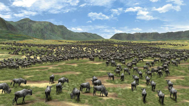 afrika