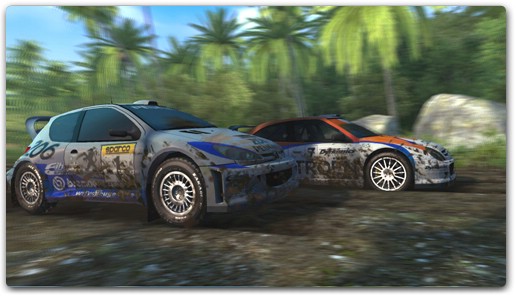 rally.jpg