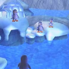 pinguin