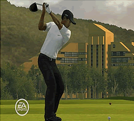 tigerwoods10