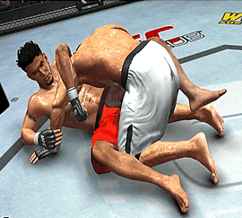 ufc2009