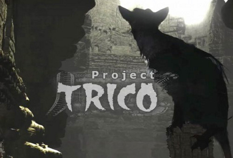 trico trico