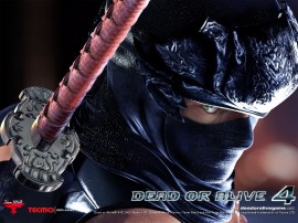 Ryu Hayabusa (Ninja Gaiden)