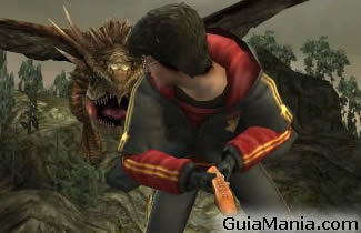 Harry Potter y el Cáliz de Fuego (Harry Potter and the Goblet of Fire) - imagen 2