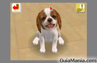 Nintendogs - imagen 3