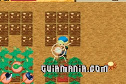 Harvest Moon Island Of Happiness - imagen 1