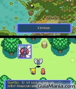Pokemon Mysterious Dungeon - imagen 1