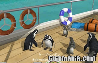 Endless Ocean - imagen 1
