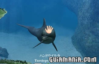 Endless Ocean - imagen 2