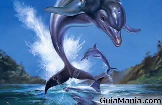 Ecco the Dolphin - imagen 1