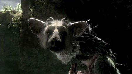 trico trico
